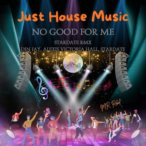 JUST HOUSE MUSIC / NO GOOD FOR ME