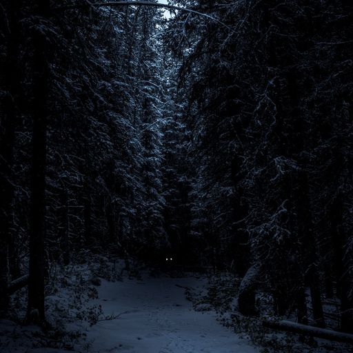 Beware of the Moonlight # Bad Kreuznach Live Mix