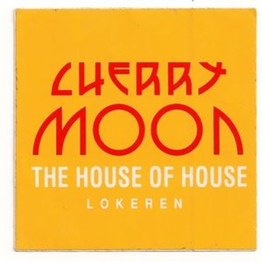 Yves De Ruyter at Cherry Moon (Lokeren - Belgium) - 12 September 1993