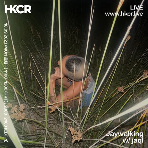 Jaywalking w/ jaql - 18/09/2023