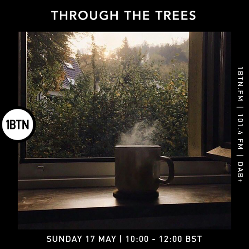 Through The Tree's w/ Ty - 17.05.26