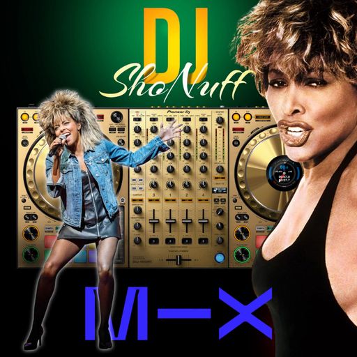 THE TINA TURNER SHOW