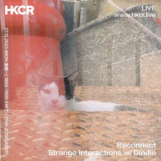 Reconnect: Strange Interactions w/ Dindie - 27/11/2023