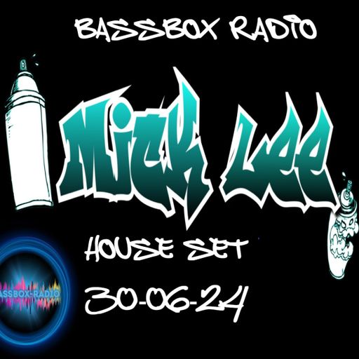 Mick Lee Bassbox House 2