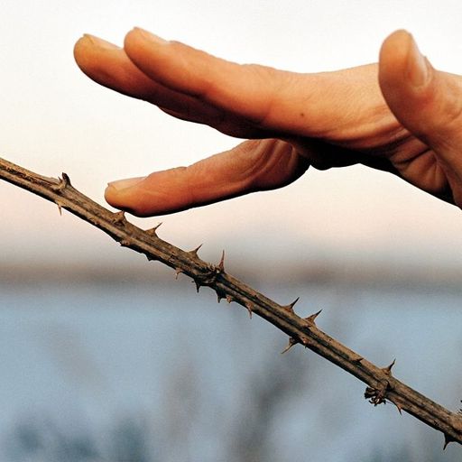 Lyra Pramuk presents: pop.soil - 1st July 2025