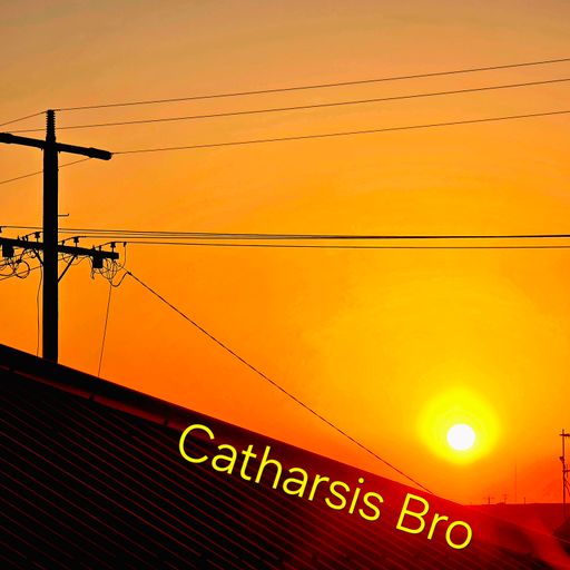 Catharsis Bro
