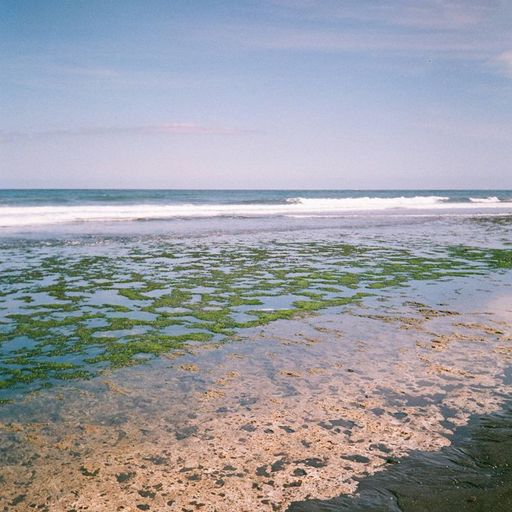 SOPHIA ZHURAVKOVA W/ AIEL - 22nd February 2026