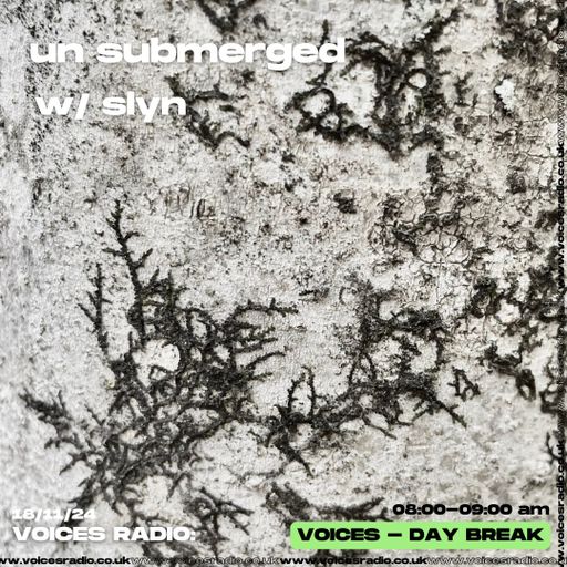 un submerged w/slyn - 18.11.24 - Voices Radio