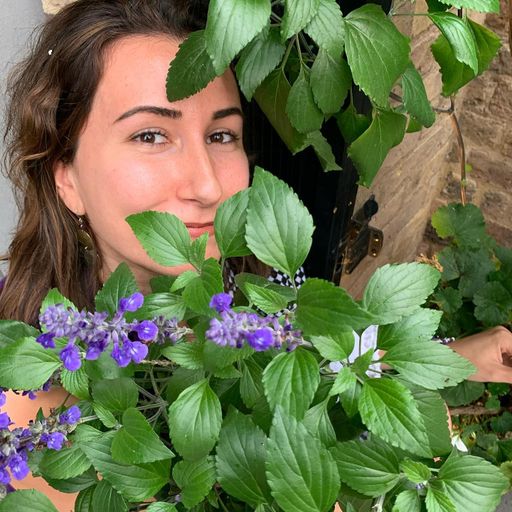 Violet Rays w/ Geoglitch - 10/09/24 - Voices Radio