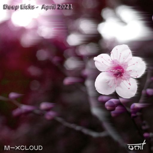 Deep Licks - April 2021