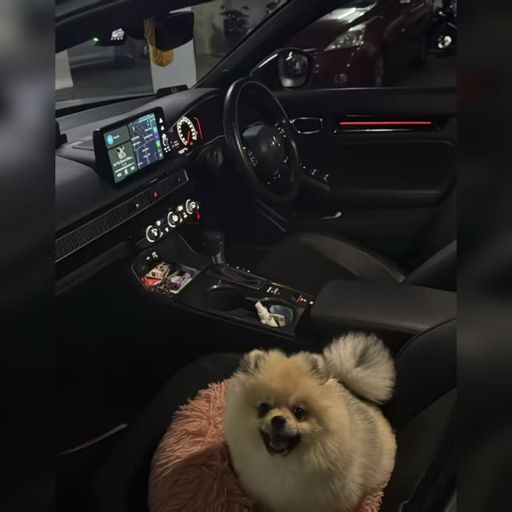 DJ'YE【Jg Private Mix'25】《EvilJoker、一樂AJoyX - 走吧 X 顧小潔 - 醉千年 X 陳壹千 - 其實》Mixtape 2x25