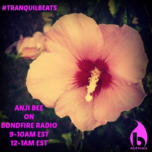 Chillcast Guest DJ for Tranquilbeats on Bondfire Radio (Part 1-5)