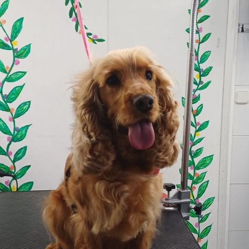 Fab's Balearic Easter Weekender on Toohotradio 5.4.26