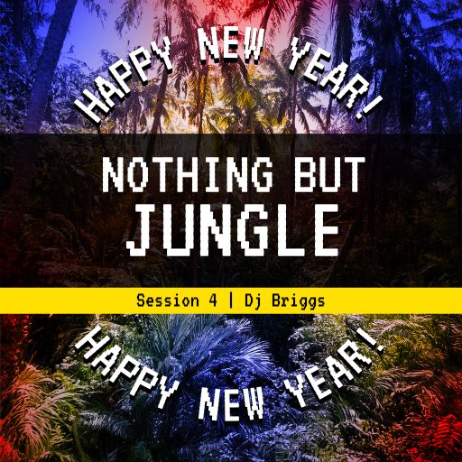 Nothing But Jungle Session 4 - Happy New Year