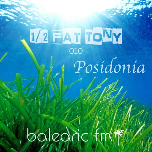 Posidonia (Half-Fat Tony, 010)