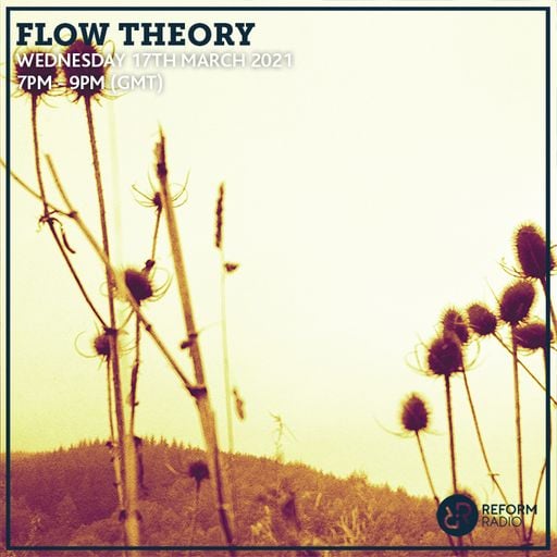 Flow Theory 17th March 2021