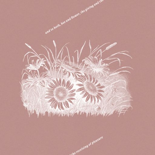 And To Both, Bee And Flower