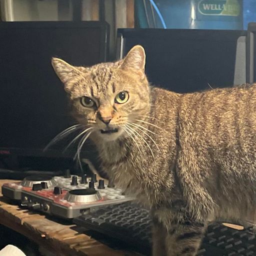 Celines MIX!!!!     Brother Love's Deep Grooves from the Grove