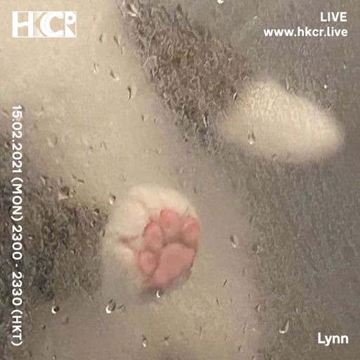 Lynn - 15/02/2021