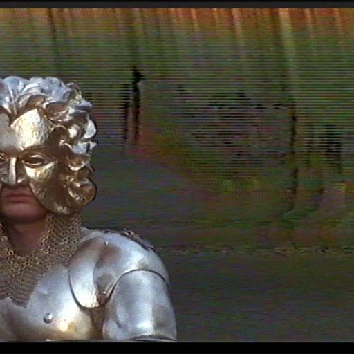 Torn Hawk - 1st December 2025