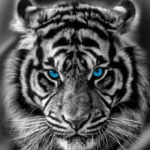 งานปาร์ตี้ Private บุคคลนิรนาม Live in.อ่างทอง By.วัยรุ่นอ่างทอง [DJ.BINGBANG-MC.MAXKY]