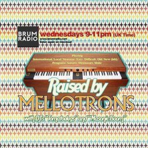 Raised By Mellotrons with DJ Tomatoe Legs (Solo):  Mistakes Were Made (03/04/2019)