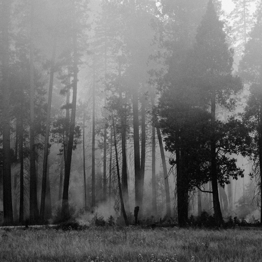 The Witching Hour - 19th March 2026