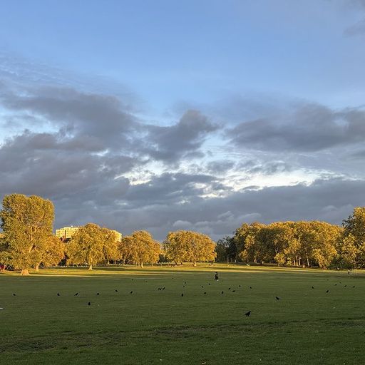 ZENDEGI (LIFE) W/ SUNE - 1st January 2026