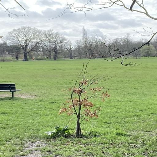 5 GATE TEMPLE - 17th March 2026