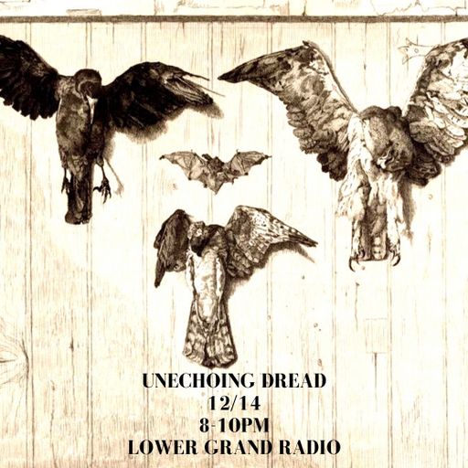 Unechoing Dread (12-14)