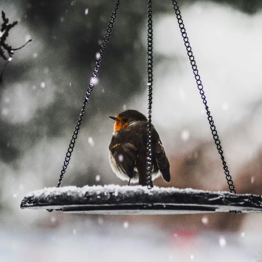 DREADheadz DUB & Reggae & freedom sounds  1 NYE homerec 133 am 7.1.2025