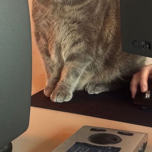 Felisha Ledesma - 31st January 2026