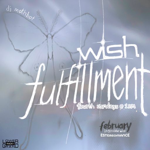 Wish Fulfillment w/ Mothbot 2.27.22