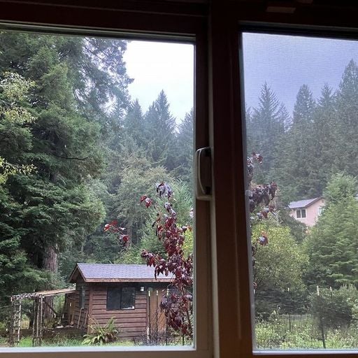 Total Stasis - 25th November 2025