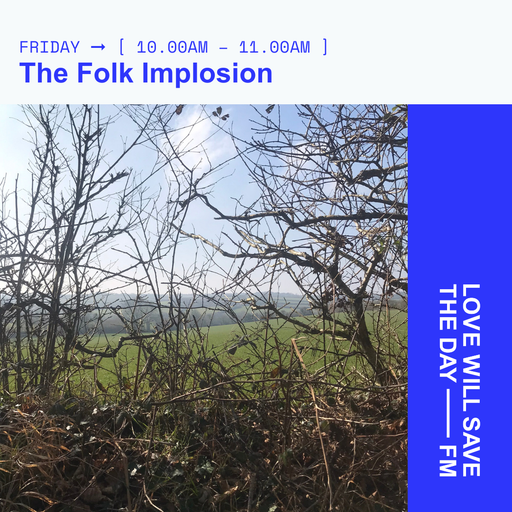 2025-03-14 The Folk Implosion | LWSTD-FM
