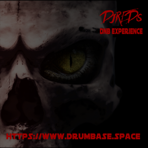 DnB Experience 13112021
