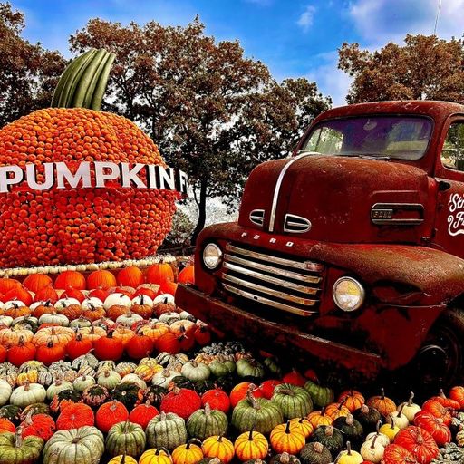 Hanlee - Jam On Top (16/10/25)