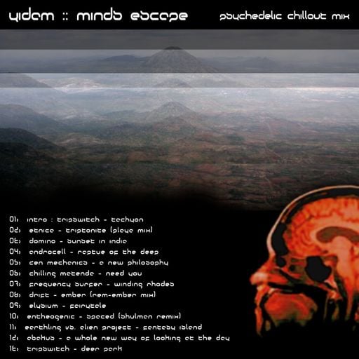 Minds Escape