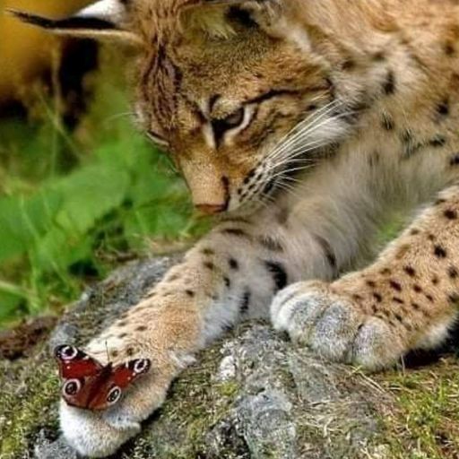 Steve Lewis Saturday night pop-up recorded 28th September 2024