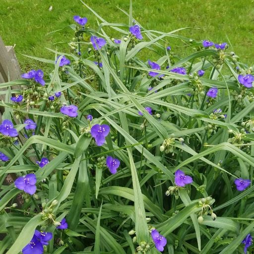 Brother Love Live!! Sunday Night Sessions