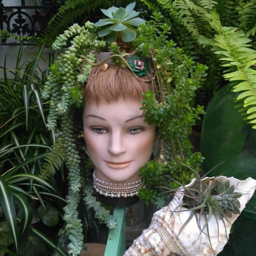 DREADheadz 18 DUB Reggae Roots Electronic CAT vom 6.8.2024