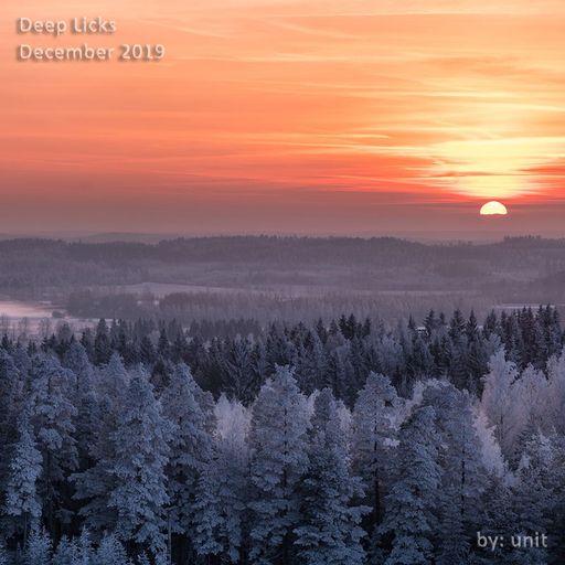 Deep Licks December 2019