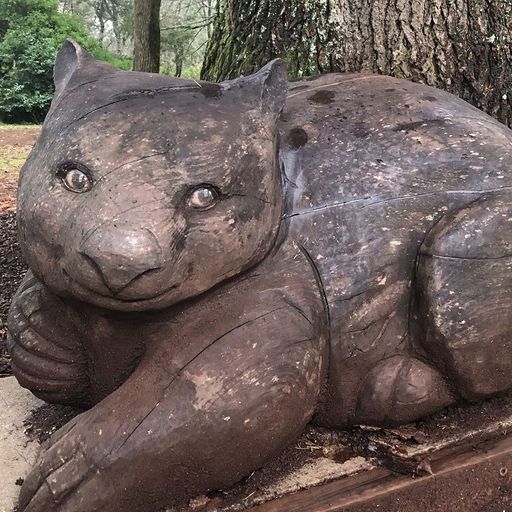 Carla Dal Forno - 1st July 2025