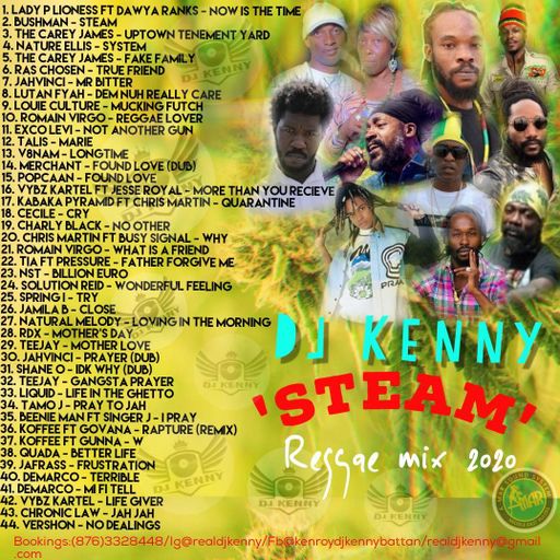 DJ Kenny - Steam (Reggae & Dancehall Mix 2020 Ft Bushman, Quada, Spring I, Teejay, Chris Martin)