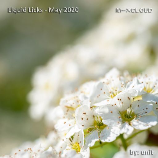 Liquid Licks - May 2020