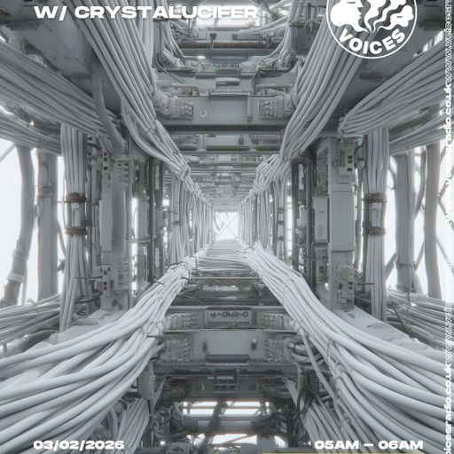 Blind Choice w/ CrystaLucifer - 03/02/26 - [Voices Radio]