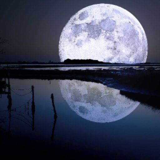 (((DubSpace))) 26 Feb 2023