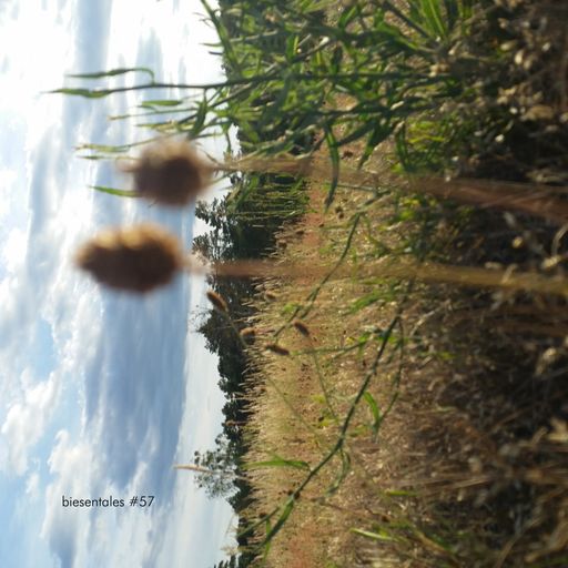Biesentales #57 - Lush 02.07.2022