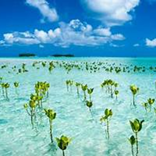 The Holiday Tape (BluesPopJazz'nRock)