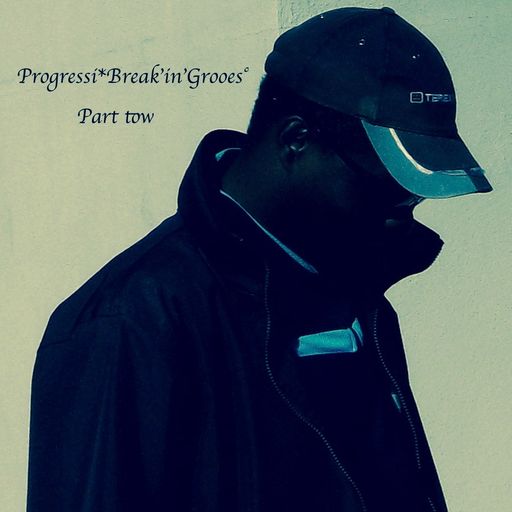 DB Progressiv*Break'in'House° volume2